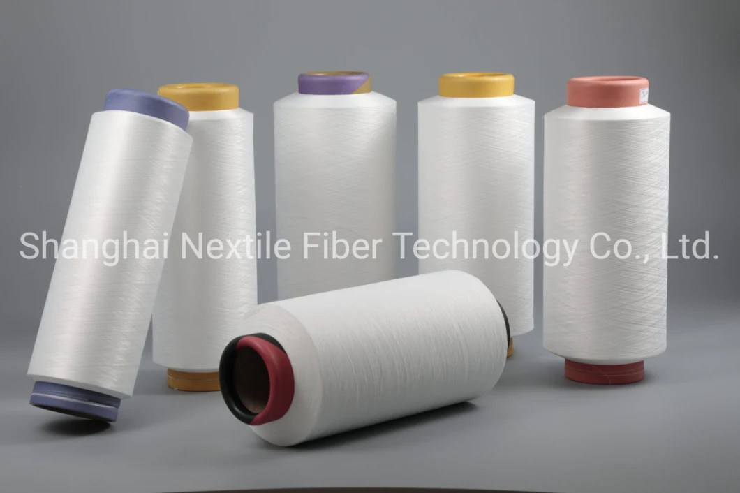 PBT 33/24 High Elasticity Polyester Filament Yarn